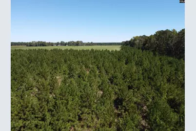 0 Tema Road #Lot 5, Hartsville, SC 29550 - Photo 34