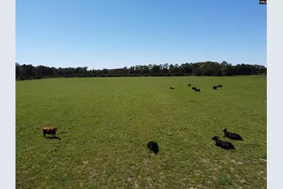 0 Tema Road #Lot 5, Hartsville, SC 29550 - Photo 36