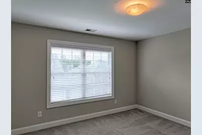 1 Arbor Oaks Court, Irmo, SC 29063 - Photo 22