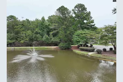 1 Arbor Oaks Court, Irmo, SC 29063 - Photo 32