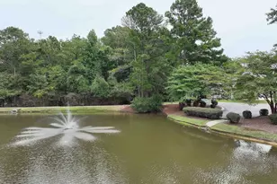 1 Arbor Oaks Ct, Irmo, SC 29063 - Photo 32