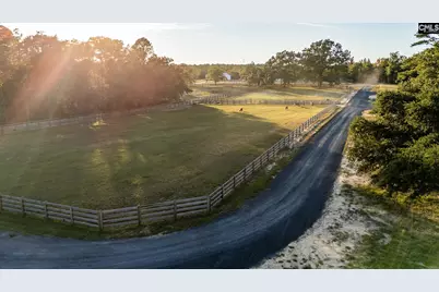 307 Henry Stabler Road, Swansea, SC 29160 - Photo 48