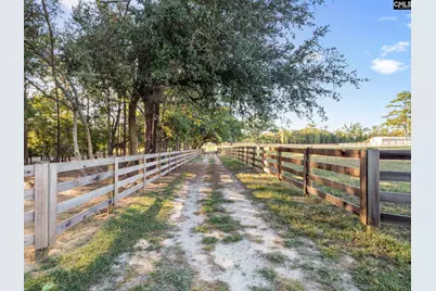 307 Henry Stabler Road, Swansea, SC 29160 - Photo 38
