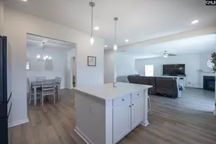 909 Ocelot Ave, Lexington, SC 29072 - Photo 14