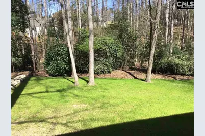 241 Teesdale Court, Lexington, SC 29072 - Photo 4