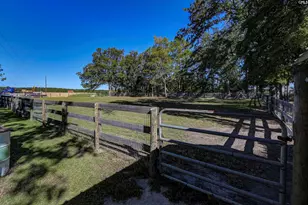 1055 Belo Rd, Lexington, SC 29072 - Photo 60