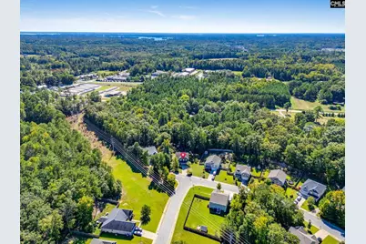 614 Muldrow Lane, Chapin, SC 29036 - Photo 46
