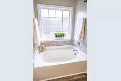 301 Chamfort Drive, Lexington, SC 29072 - Photo 20