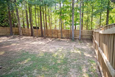 301 Chamfort Drive, Lexington, SC 29072 - Photo 30