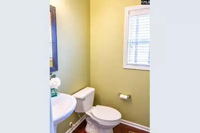 301 Chamfort Drive, Lexington, SC 29072 - Photo 28
