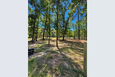 85 Robinson Lane, Saint Matthews, SC 29135 - Photo 12