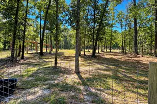 85 Robinson Ln, Saint Matthews, SC 29135 - Photo 12