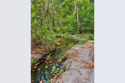 85 Robinson Lane, Saint Matthews, SC 29135 - Photo 14
