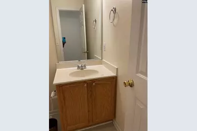 255 Timbermill Drive, Lexington, SC 29073 - Photo 10