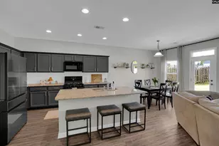 253 Bickley View Ct, Chapin, SC 29036 - Photo 4