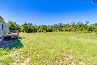 6609 Wagener Road, Wagener, SC 29164 - Photo 34