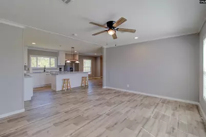 6609 Wagener Road, Wagener, SC 29164 - Photo 4
