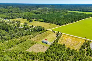 6609 Wagener Rd, Wagener, SC 29164 - Photo 40