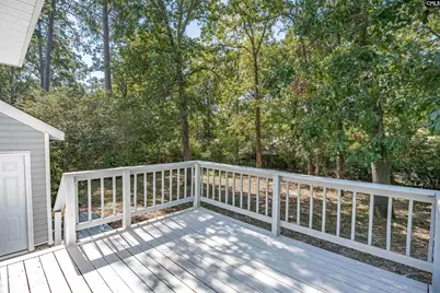 204 River Song Road, Irmo, SC 29063 - Photo 28