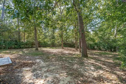 204 River Song Road, Irmo, SC 29063 - Photo 36