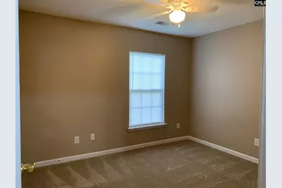 113 Baltic Court, Chapin, SC 29036 - Photo 14