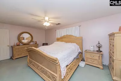 124 Stoney Point Drive, Chapin, SC 29036 - Photo 24