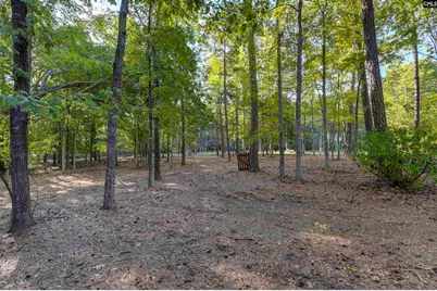 1004 Fieldstone Road, Chapin, SC 29036 - Photo 12