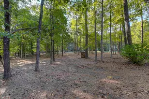 1004 Fieldstone Rd, Chapin, SC 29036 - Photo 12