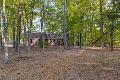 1004 Fieldstone Road, Chapin, SC 29036 - Photo 6