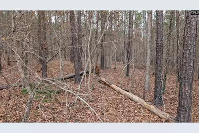 Lot 3 Retreat Way #3, Ridgeway, SC 29130 - Photo 22