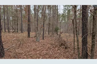 Lot 3 Retreat Way #3, Ridgeway, SC 29130 - Photo 16