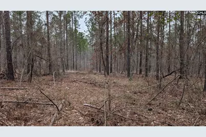 Lot 3 Retreat Way #3, Ridgeway, SC 29130 - Photo 14