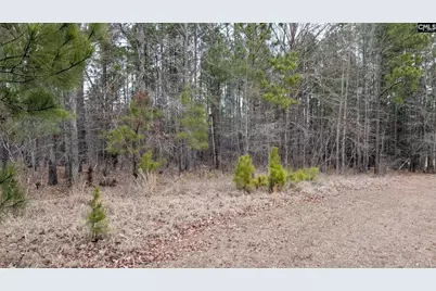 Lot 3 Retreat Way #3, Ridgeway, SC 29130 - Photo 4