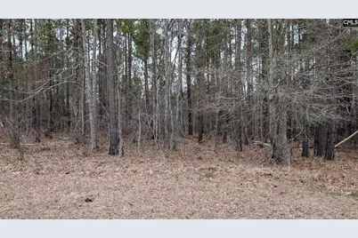 Lot 3 Retreat Way #3, Ridgeway, SC 29130 - Photo 1
