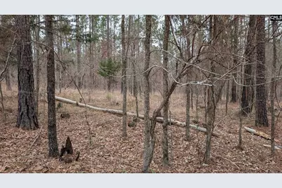 Lot 3 Retreat Way #3, Ridgeway, SC 29130 - Photo 8