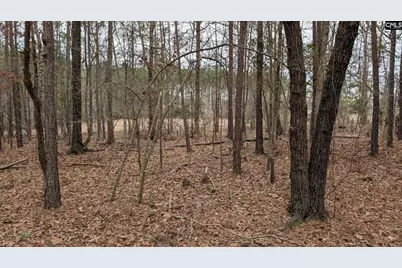 Lot 3 Retreat Way #3, Ridgeway, SC 29130 - Photo 12