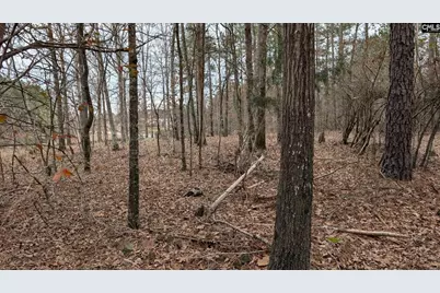 Lot 3 Retreat Way #3, Ridgeway, SC 29130 - Photo 10