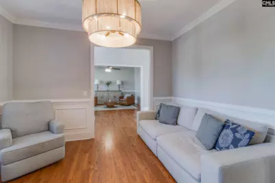 437 Caro Lane, Chapin, SC 29036 - Photo 16