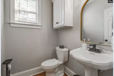 437 Caro Lane, Chapin, SC 29036 - Photo 36