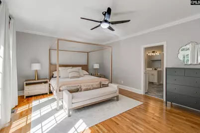 437 Caro Lane, Chapin, SC 29036 - Photo 18
