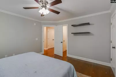 437 Caro Lane, Chapin, SC 29036 - Photo 28