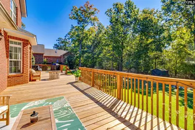 437 Caro Lane, Chapin, SC 29036 - Photo 42