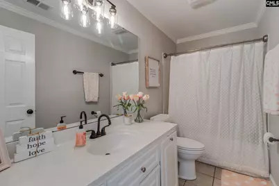 437 Caro Lane, Chapin, SC 29036 - Photo 26