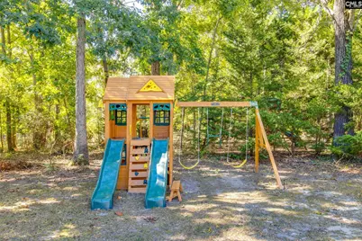 437 Caro Lane, Chapin, SC 29036 - Photo 46