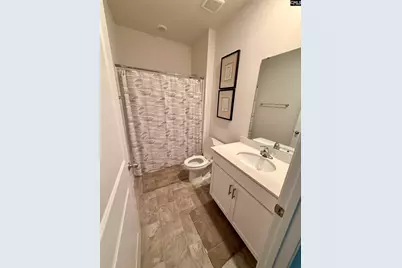 509 Leathertree Lane, Blythewood, SC 29016 - Photo 16
