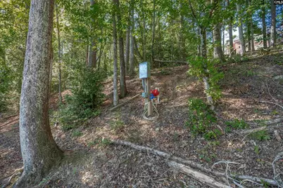 181 Lake Mallard Lane, Camden, SC 29020 - Photo 56