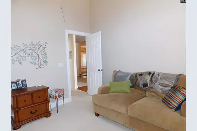 227 Fairway Ridge Drive, Chapin, SC 29036 - Photo 28
