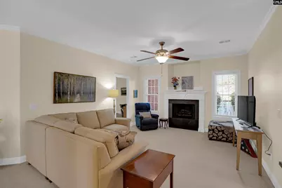 227 Fairway Ridge Drive, Chapin, SC 29036 - Photo 8