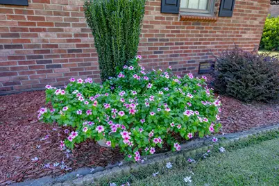217 Tamwood Circle, Cayce, SC 29033 - Photo 38