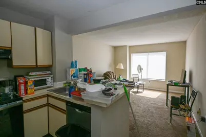 1600 Park Circle 809, Columbia, SC 29201 - Photo 2